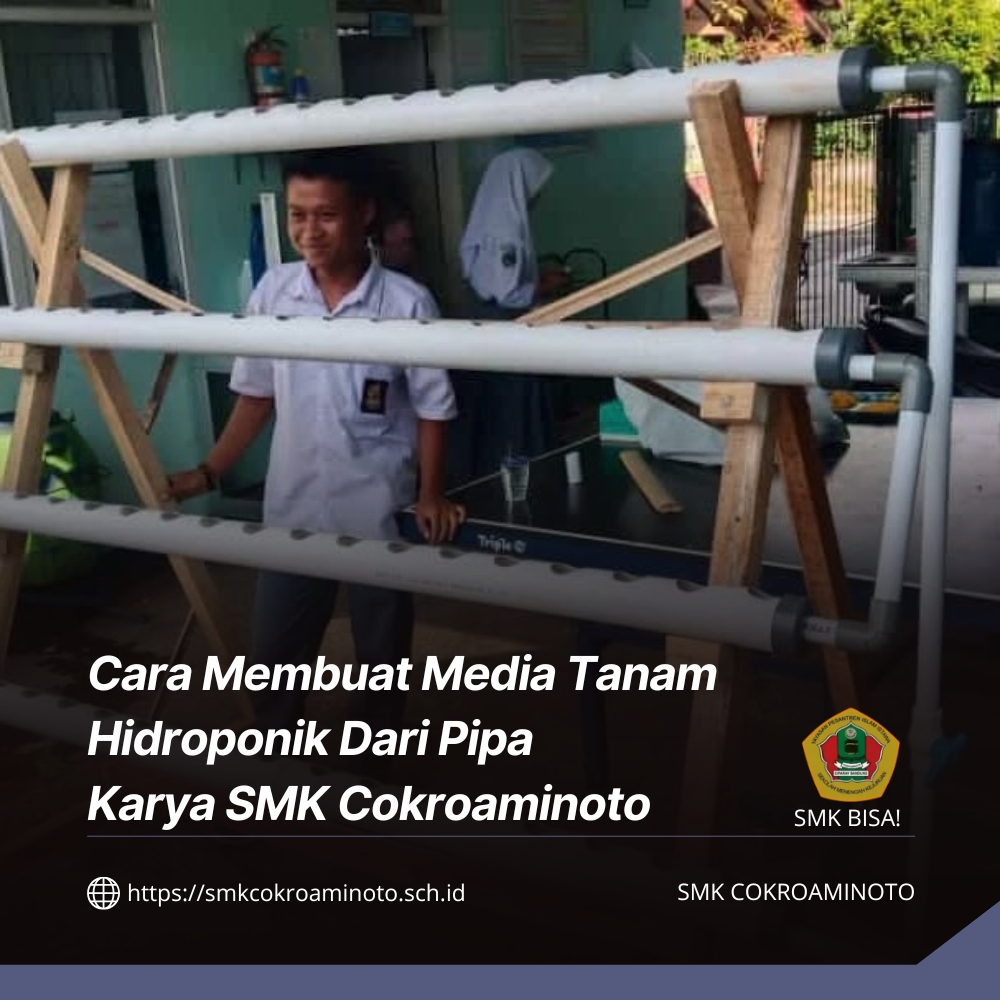Cara Membuat Media Tanam Hidroponik Dari Pipa Karya SMK Cokroaminoto