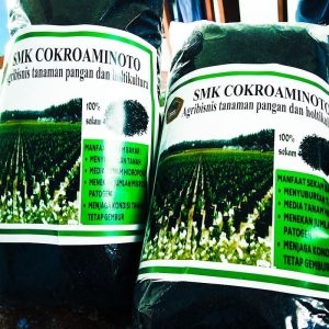 Sekam bakar SMK COKROAMINOTO